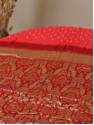 Kanjivaram Border Pure Gaji Silk - Coral Red