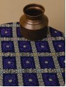 Banarasi Paithani Jaal Saree - Indigo Blue