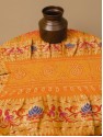 Banarasi Paithani Jaal Saree - Mango Rani